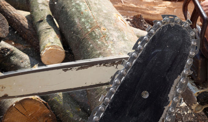 A Guide to Sharpening a Chainsaw - Woodland Mills