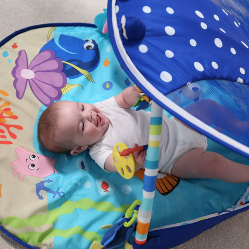 mr ray activity mat