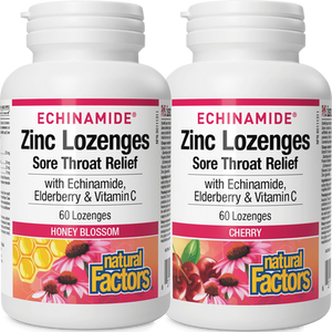Natural Factors Echinamide Zinc Lozenges Sore Throat Relief - Flavour variants