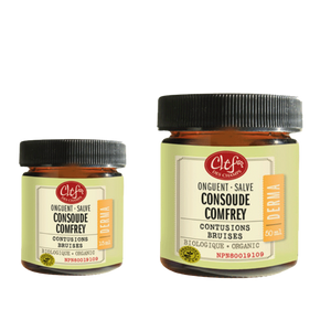 Clef Des Champs Organic Comfrey Salve Clef Des Champs Organic Comfrey Salve