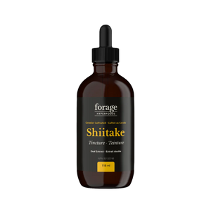 Forage Shiitake Tincture | 118 ml Forage Shiitake Tincture | 118 ml