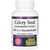 Natural Factors Celery Seed Standardized Extract Capsules Natural Factors Celery Seed Standardized Extract Capsules