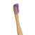 The Future is Bamboo Adult Bamboo Toothbrush - Purple
