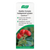A. Vogel Bladder Formula Cystoforce Tincture | 50ml A. Vogel Bladder Formula Cystoforce Tincture | 50ml