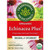 Traditional Medicinals Organic Echinacea Plus Original with Spearmint Tea -front label