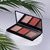 PHNX Cream Cheek Palette | 3 Shade.