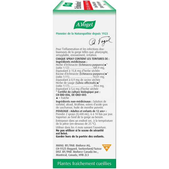 A. Vogel Echinaforce Sore Throat Spray Fast Acting - Back