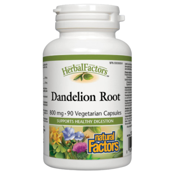 Natural Factors Dandelion Root 800 mg - front of product
