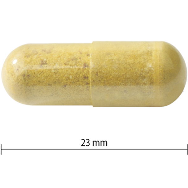 Progressive Multivitamins 50+ Men's and Women's - Size of capsule