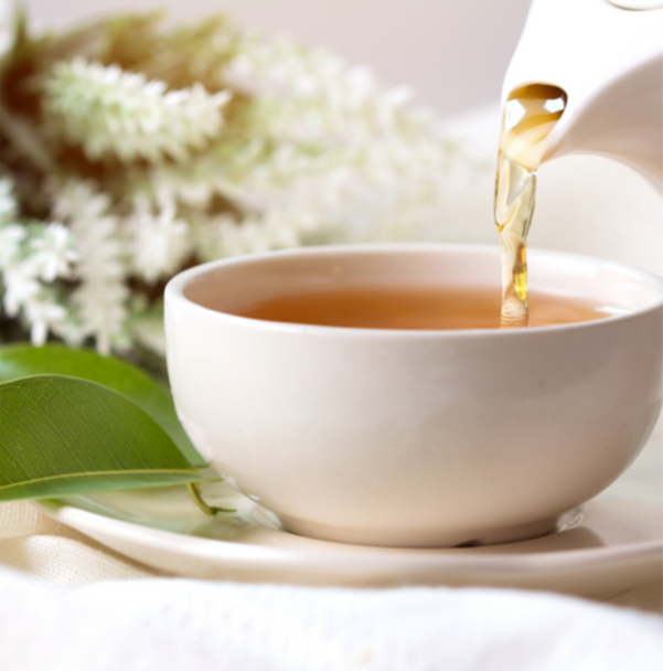 Tega Organic Caffeine Free Pure Green Rooibos Tea Cup