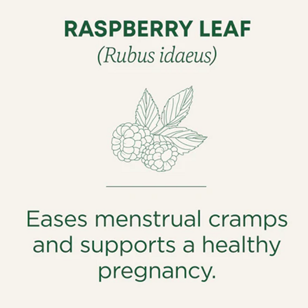 Traditional Medicinals Organic Raspberry Leaf Tea - Benefits