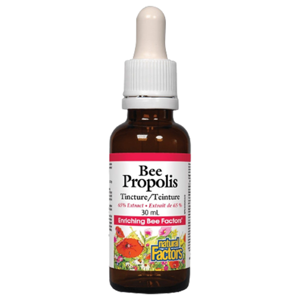 Natural Factors Bee Propolis Tincture - front of product