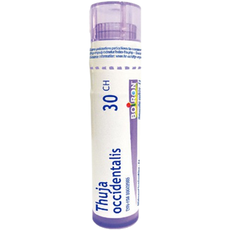 Boiron Thuja Occidentalis 30 ch | 4g