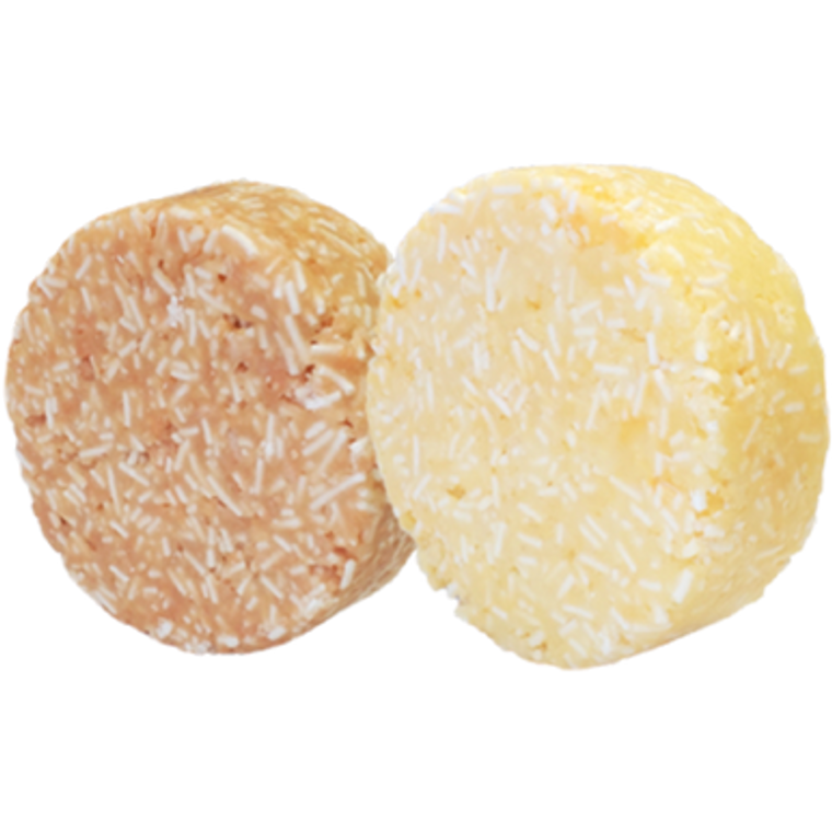 GNN Shampoo Bars