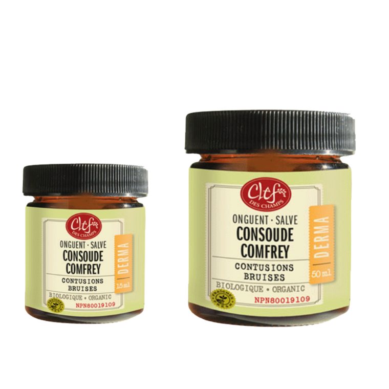 Clef Des Champs Organic Comfrey Salve
