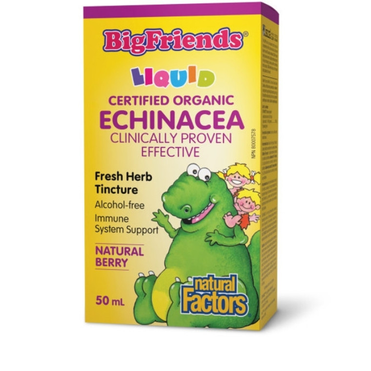 Natural Factors Big Friends Echinacea Tincture | 50 ml