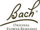 Bach