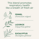 Traditional Medicinals Breathe Easy Tea - benefits