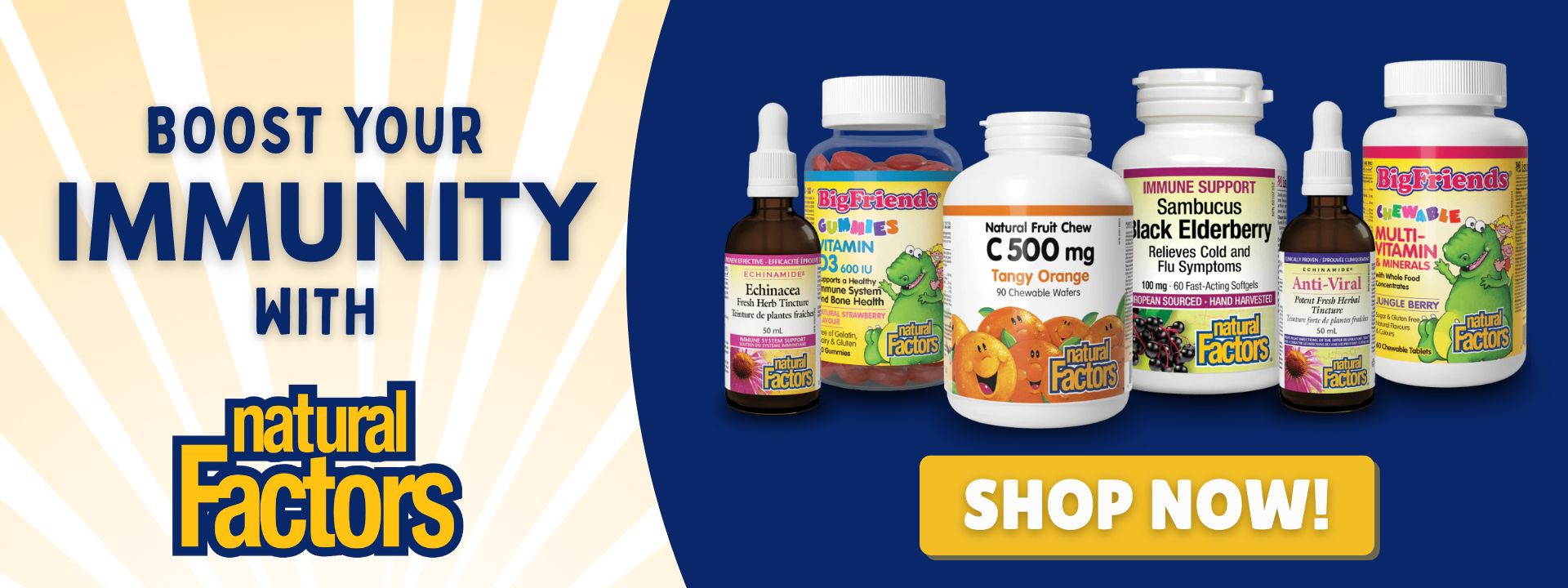 Boost Your Immunity with Natural Factors Supplements. Shop Now!