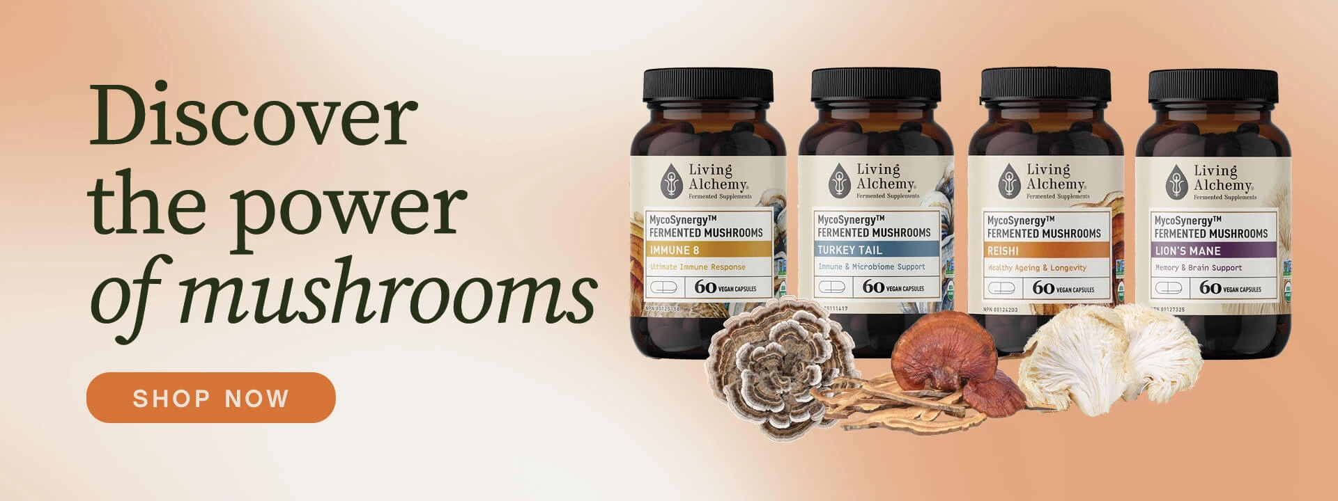 Discover the Power of Living Alchemy Fermented Mushrooms