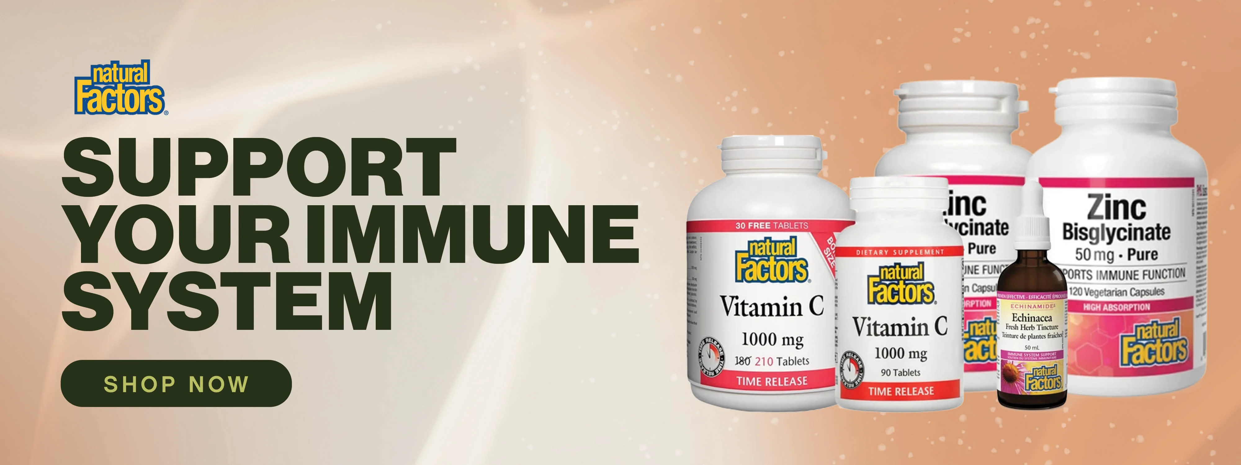 Support Your Immune System with Natural Factors