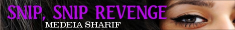 snip-sniprevengebanner.jpg