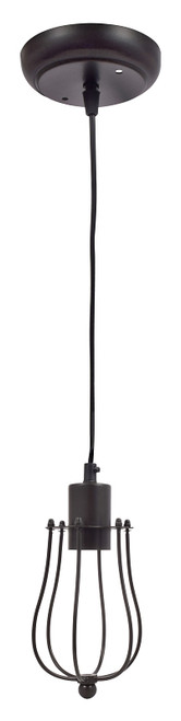 LED ST19 CAGE PENDANT 800 LUM [SKU: ORG0017111]