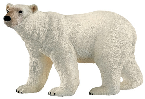 Schleich-S 14800 Figurine, 3 to 8 years, Polar Bear, Plastic [SKU: ORG7214935]