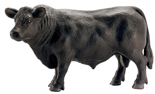 Schleich-S 13766 Figurine, 3 to 8 years, Angus Bull, Plastic [SKU: ORG7215262]