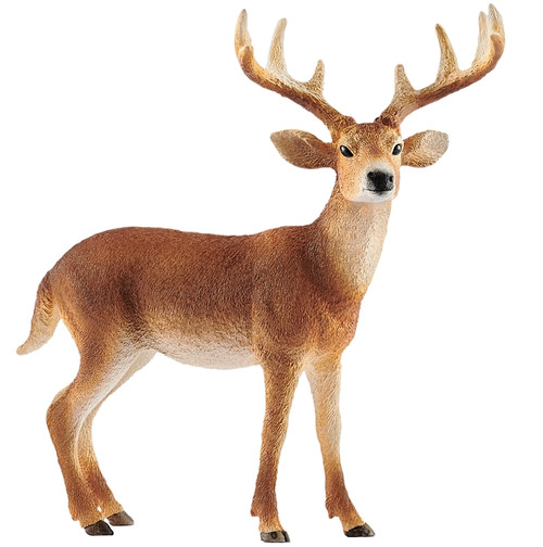 Schleich-S 14818 Toy, Tailed Buck, White [SKU: ORG7414303]