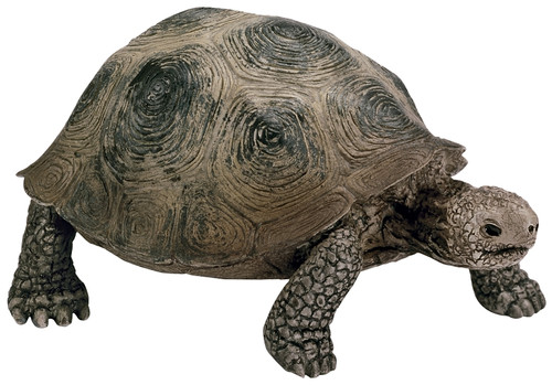 Schleich-S 14601 Figurine, 3 to 8 years, Giant Tortoise, Plastic [SKU: ORG7215072]