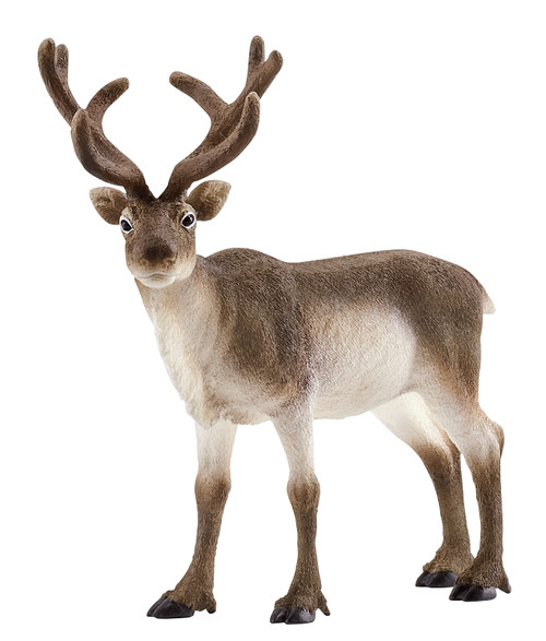 Schleich-S Wild Life Series 14837 Animal Toy, 3 to 8 years, Reindeer, Plastic [SKU: ORG7414477]