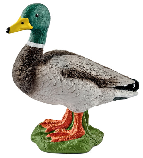 Schleich-S 13824 Figurine, 3 to 8 years, Drake, Plastic [SKU: ORG7214646]