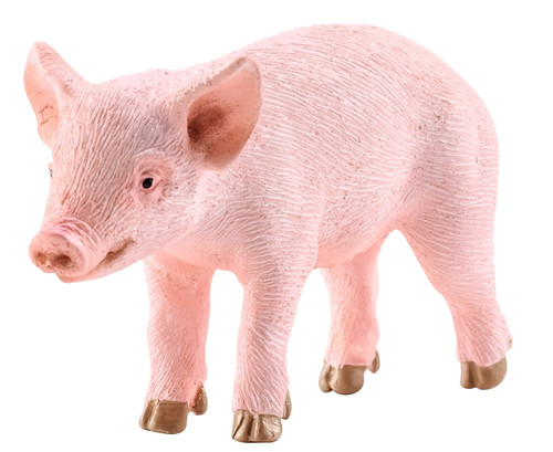 Schleich-S Farm World Series 13783 Toy, 3 to 8 years, XS, Piglet, Plastic [SKU: ORG7414394]