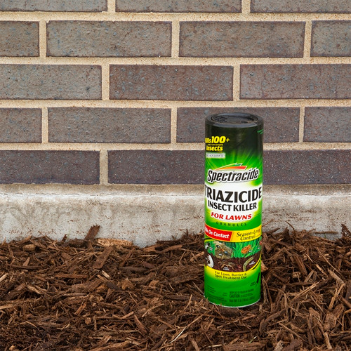 Spectracide 53941-5 Insect Killer, Solid, 1 lb Bag [SKU: ORG9886177]