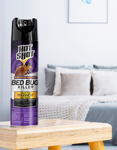 BED BUG KILLER 17.5OZ [SKU: ORG2528990]