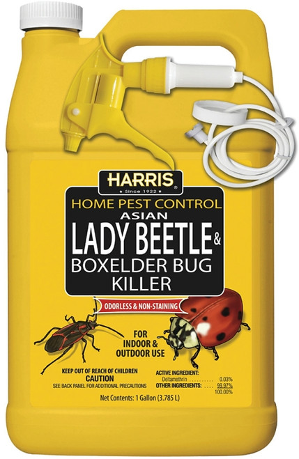 HARRIS HBXA-128 Beetle and Box Elder Bug Killer, Liquid, Spray Application, 128 oz [SKU: ORG4785796]