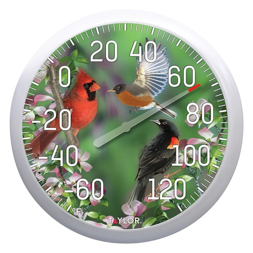 Taylor 6774 Bird Thermometer, Multi-Color Casing [SKU: ORG9135088]