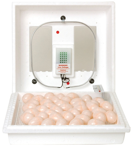 Little Giant 9300 Egg Incubator, 110 V, 41 Large Chicken Eggs Egg, Styrofoam [SKU: ORG7168099]