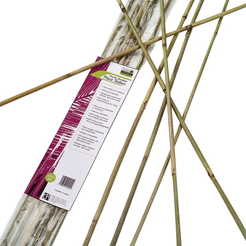 Gardener's Blue Ribbon BB6N Plant Stake, 6 ft L, Bamboo, Natural [SKU: ORG7223415]