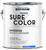 RUST-OLEUM Sure Color Series 380219 Interior Paint, Eggshell, Alpine White, 1 gal, Can [SKU: ORG7457419]