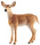 Schleich-S Wild Life Series 14819 Toy, 3 to 12 years, White-Tailed Doe, Plastic [SKU: ORG7414329]