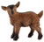 Schleich-S 13829 Figurine, 3 to 8 years, Goat Kid, Plastic [SKU: ORG7214687]