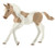 Schleich-S Horse Club Series 13886 Toy, 5 to 12 years, M, Paint Horse Foal, Plastic [SKU: ORG7414253]