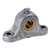 CDCO 9-500-6-5/8 Pillow Block, 5/8 in Dia Bore, Cast Iron [SKU: ORG6003750]