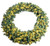 Hometown Holidays 61958 Wreath Sheared Noble, 60 in L, 60 in W, PVC, LED Bulb, Internal Light/Music: Internal Lights [SKU: ORG1274752]