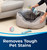 BISSELL Woolite 11521 Pet Stain and Odor Remover, Liquid, Characteristic, 22 oz [SKU: ORG2047371]