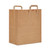 Handle Bag, 17.75 x 21, Brown, 400/Bundle [SKU: BAGSK1670EZ]
