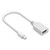 Mini DisplayPort to DisplayPort Adapter, 6", White [SKU: NXT24400023]
