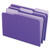 Interior File Folders, 1/3-Cut Tabs: Assorted, Legal Size, Violet, 100/Box [SKU: PFX435013VIO]